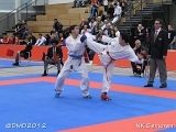 dmd20120205_NK599