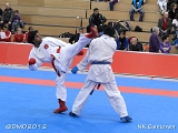 dmd20120205_NK600