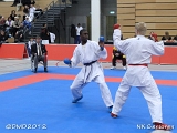 dmd20120205_NK676