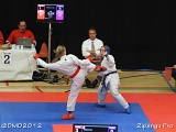 dmd20120226_zipangu243