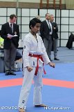dmd20131123_NK275