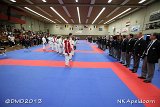 dmd20131123_NK343