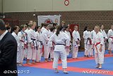 dmd20131123_NK538