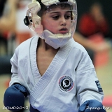 dmd20130214_zipangupro036