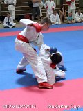 dmd20100703_budocan082