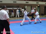 dmd20100703_budocan245