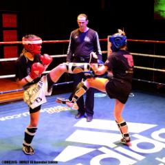 DMD20151129_impact-3_0004