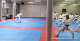 DMD20101017_MarcStevens250