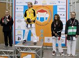 dmd20101128_njk1177